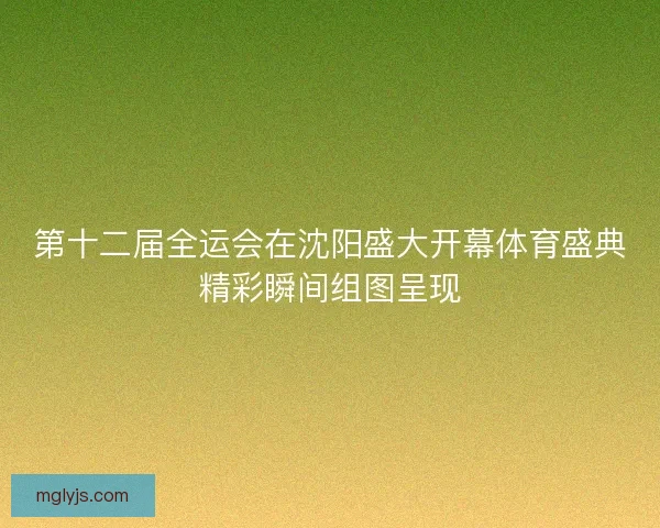 第十二届全运会在沈阳盛大开幕体育盛典精彩瞬间组图呈现
